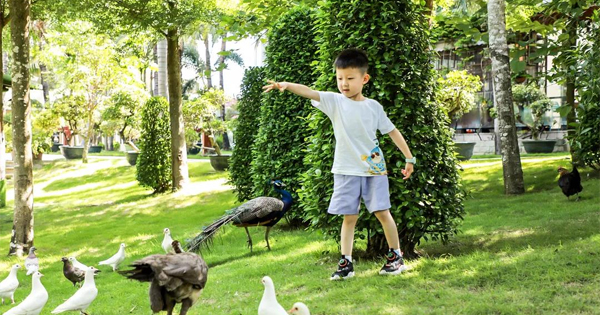 领略风光，共享美妙亲子时光