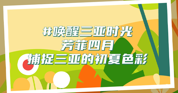 三亚的角落，藏着初夏的颜色